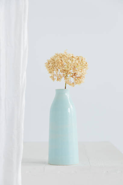 istock Dry hydrangea flower in blue vase on white interior. Minimalist still life 1651182254
