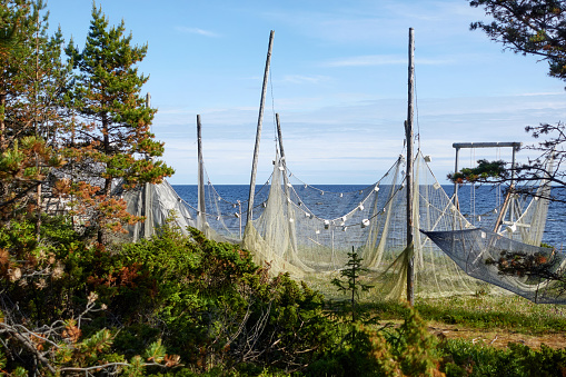Fishing nets in the foreground. White Sea, Kola Peninsula.