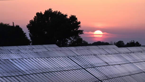 istock Solar power plant at sunrise 1651198608