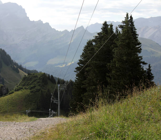 istock Mountain Slope with Ski-Lift in Summer 1651224001