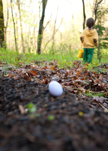 Young Asian American boy walks away, unknowingly passing up an egg for his basket. Focus in in middle ground between the egg and the boy, both of which are softened by DOF.