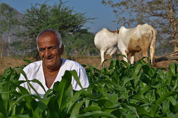 istock Indian happy Farmer in farm with cow 165125973