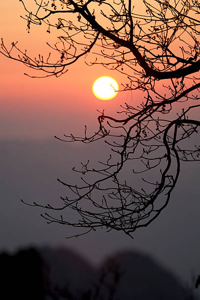 Sunrise Beautiful Sunrise in Huangshan, China. huangshan mountains stock pictures, royalty-free photos & images