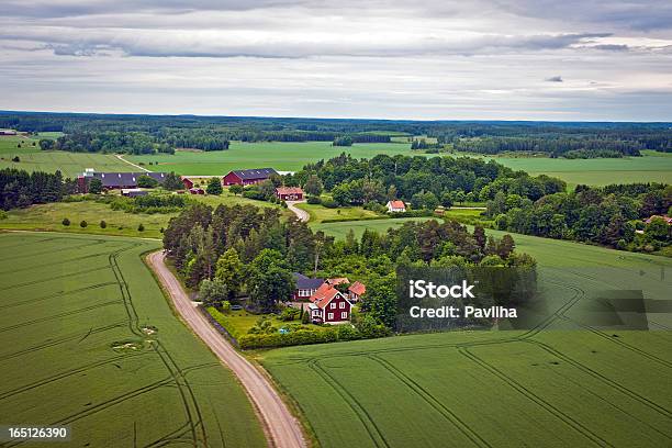 Gospodarstwa I Pól W Szwecji Europa Północna - zdjęcia stockowe i więcej obrazów Rolnictwo - Rolnictwo, Szwecja, Serce - Symbol idei