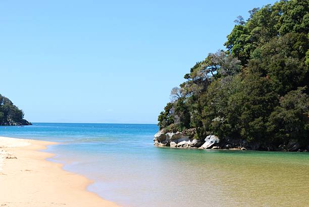 istock Beach Background, Kaiteriteri, New Zealand 165129566