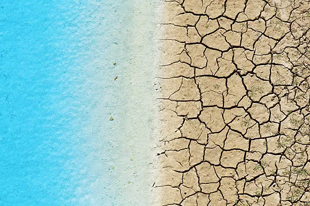 Photo of Drought