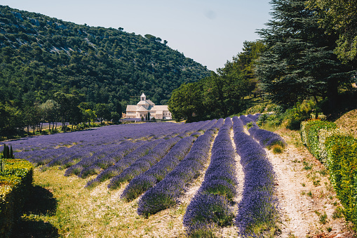 Senanque Abbey (Provence, France) stock photo...
