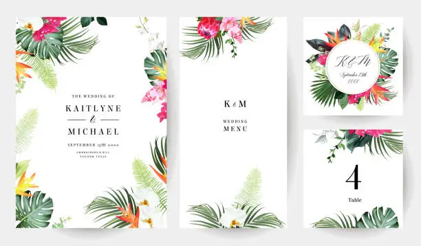 Vector illustration of Tropical flowers and leaves vector design cards. White orchid, strelitzia, protea, medinilla, monstera, jungle palm leaves