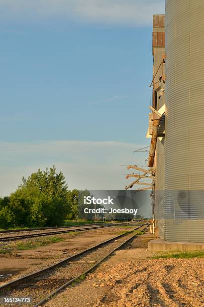 Binario Di Raccordo E Fiore Ascensori - Fotografie stock e altre immagini di Agricoltura - Agricoltura, Ambientazione esterna, Attrezzatura agricola