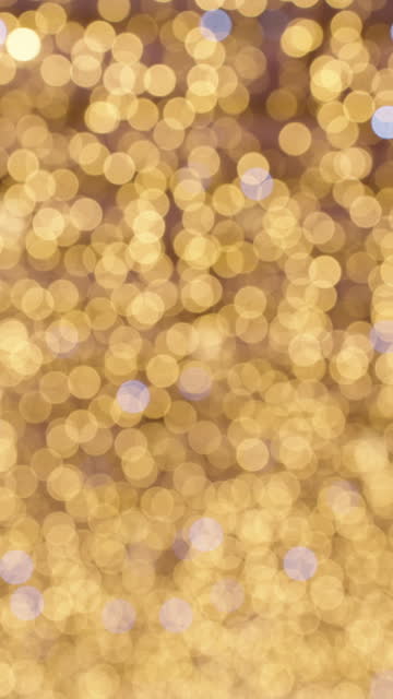 Vertical video. The background image is out of focus, bokeh from the flickering warm light of the Christmas garland.