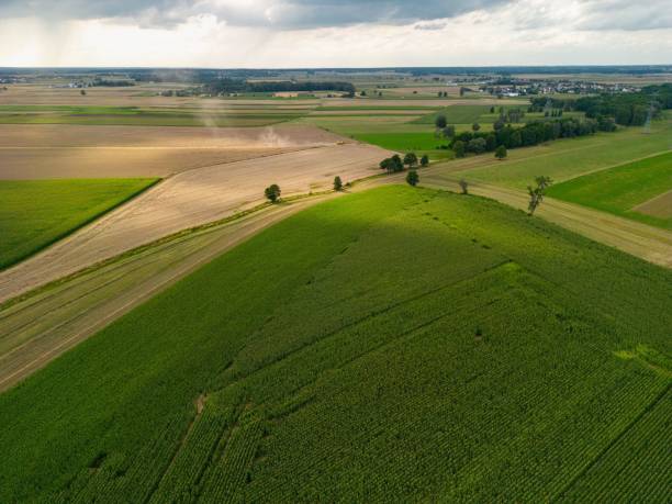 istock Aerial view of vast agricultural fields under a cloudy sky 1651356572
