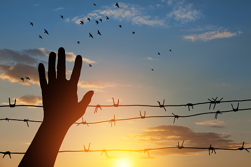 Holocaust Remembrance Day. January 27. silhouette of hand with barbed wire on background of sunset with flying birds.