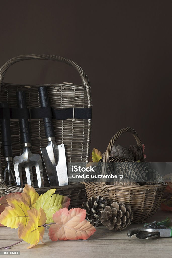 Garten-tools mit Kiefer Kegel und Herbst Laub - Lizenzfrei Blatt - Pflanzenbestandteile Stock-Foto