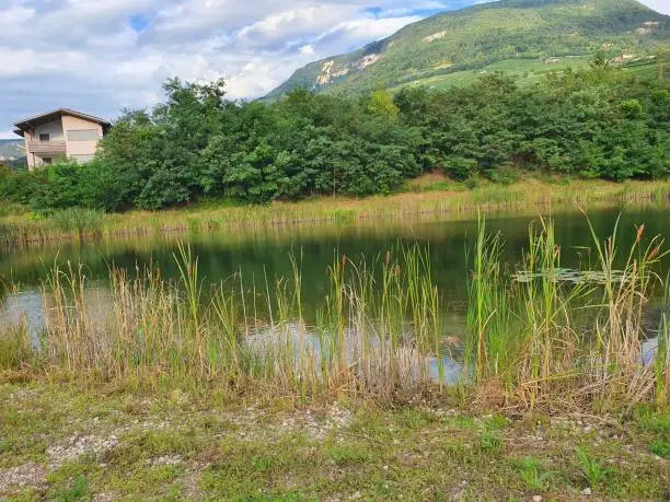 Lago in un parco pubblico ad Egna in provincia di bolzano in italia