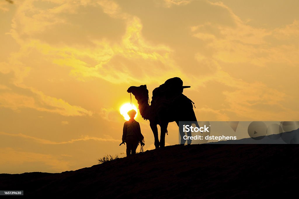 silhouette de chameau - Photo de Animaux domestiques libre de droits