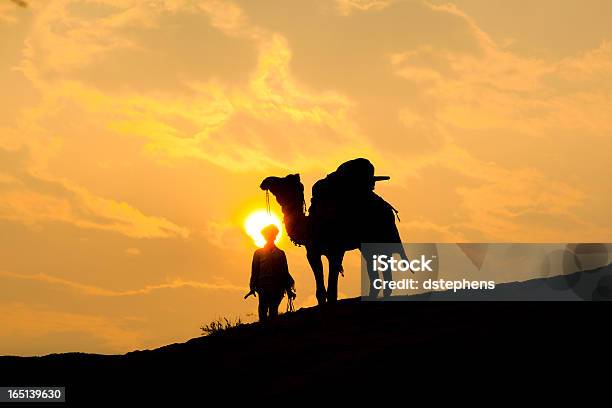 Silhueta De Um Camelo - Fotografias de stock e mais imagens de Animal - Animal, Animal Doméstico, Ao Ar Livre