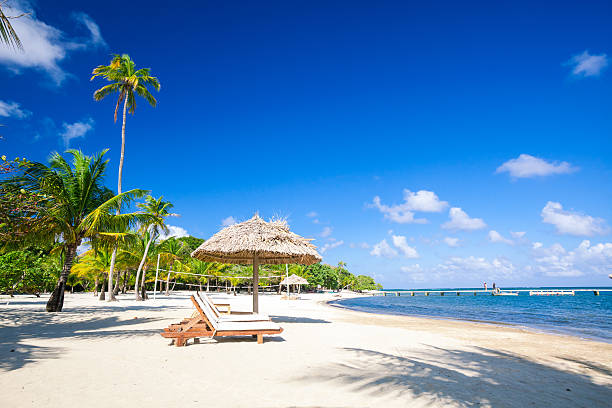 Chairs on tropical beach stock photo