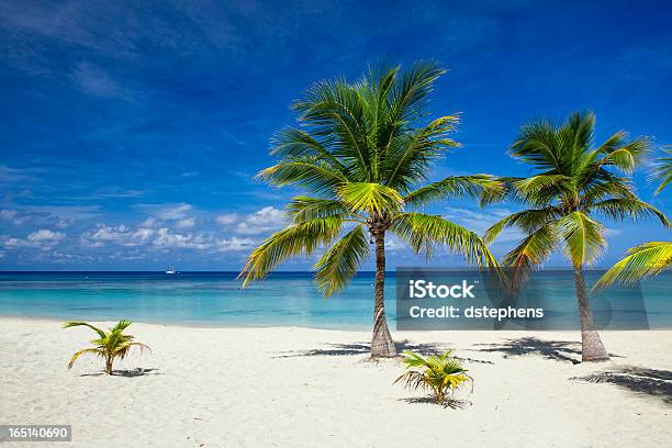 Foto de Palmeiras Na Praia Tropical Beach e mais fotos de stock de Roatán - Roatán, Honduras, Praia