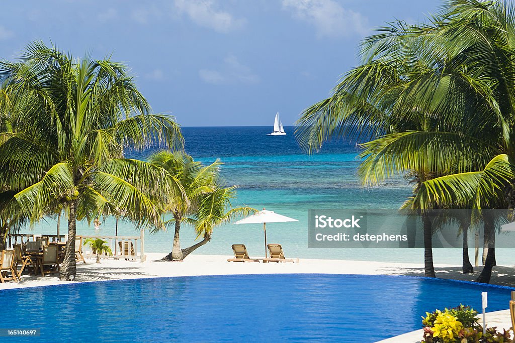 Tropical Beach Resort con piscina - Foto stock royalty-free di Roatan