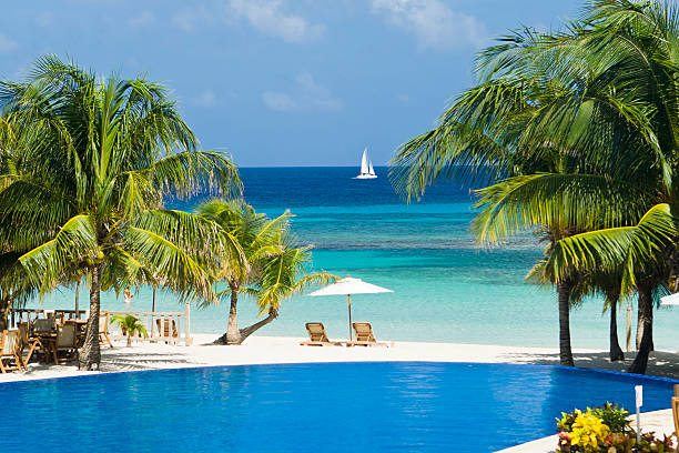 Tropical Beach Resort Pool stock photo