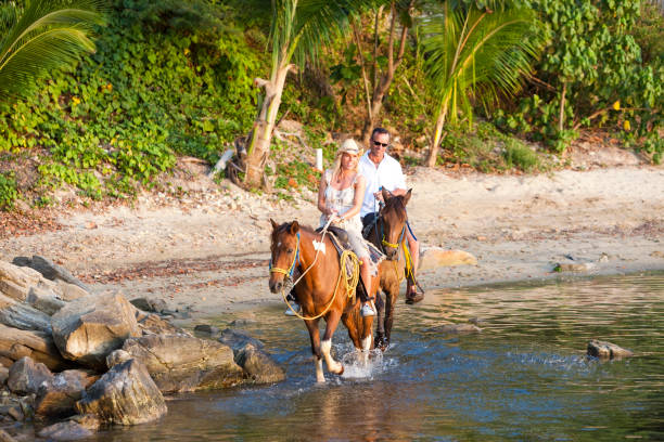 istock Couple riding horseback along tropical beach 165141213