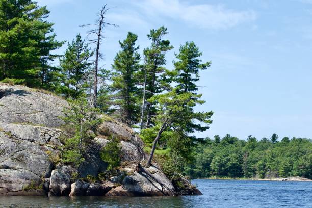 istock Georgian Bay Landscape 1651505113