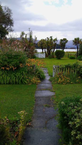istock A garden with green and colorful plants 1651509410
