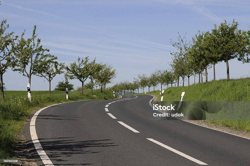 Route sans voitures - Photo de Accotement herbeux libre de droits