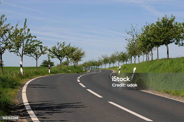 Estrada Sem Automóveis - Fotografias de stock e mais imagens de Via Ladeada de Relva - Via Ladeada de Relva, Alfalto, Ao Ar Livre