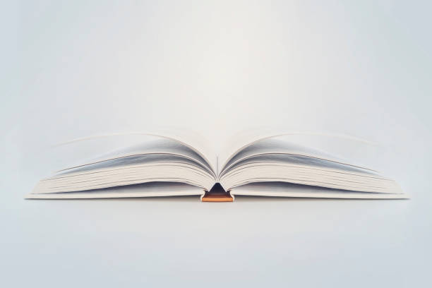 istock Open book of blank pages on blue background. copy space 1651636763
