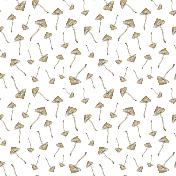 유독 한 버섯 손으로 그린 그림, 먹을 수없는 위험한 버섯, 버섯, 비행 agaric, 흰색 버섯의 가족, 버섯, 수채화 원활한 패턴 - timberland stock illustrations