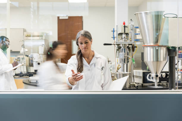 istock Mature female laboratory supervisor examines test results 1651656624