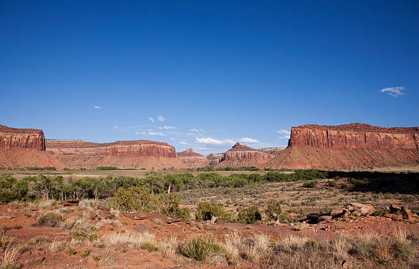 Landscape in Indian Creek Recreation Area, Utah