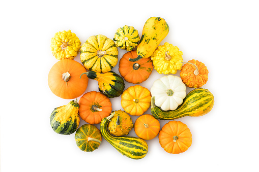Assortment of colorful pumpkins isolated on white