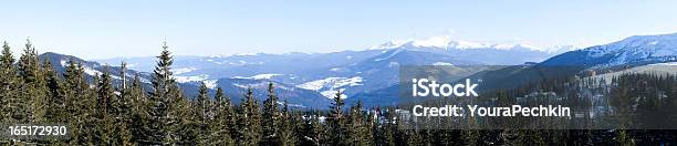 Carpathian 산맥 감청색에 대한 스톡 사진 및 기타 이미지 - 감청색, 겨울, 경관