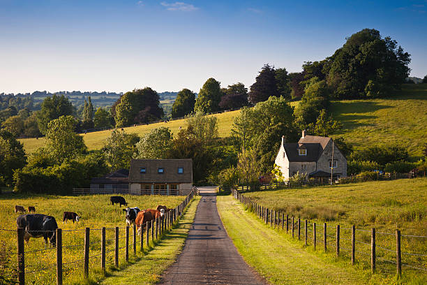 farmland avec ferme et brouter vaches au royaume-uni - cotswold photos et images de collection