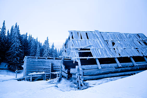 alten schuppen - poverty ugliness residential structure usa stock-fotos und bilder