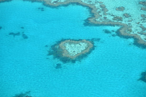 istock Heart Reef, Great Barrier Reef - true to life colour without saturation or increased contrast 1651746247