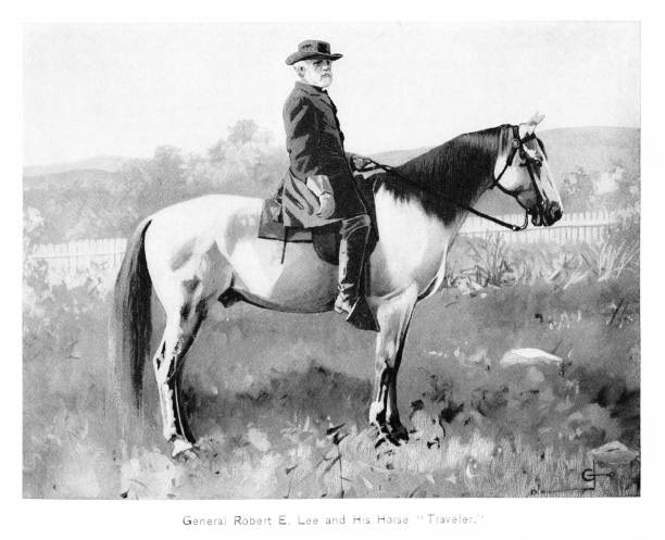 ilustrações, clipart, desenhos animados e ícones de general robert e. lee em retrato de cavalo, guerra civil americana 1861-1865 - civil war general engraving men