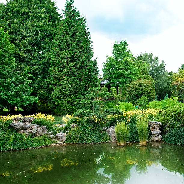 istock lake in the summer park 165176774