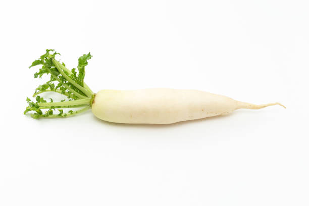 istock Japanese radish on a white background. 1651782351