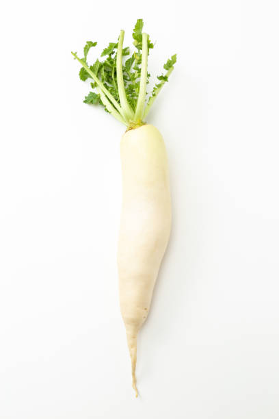 istock Japanese radish on a white background. 1651790960