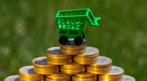 An empty miniature shopping cart from a supermarket on top of a pyramid of 100 Kazakhstani tenge coins