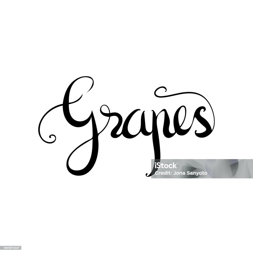 Grape In Cursive Lettering Word Grapes Doodle Vector Illustration Stock Illustration ...