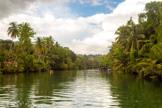 istock Tropical river with palm trees on both shores, Loboc river, Bohol, Philippines 1651886097