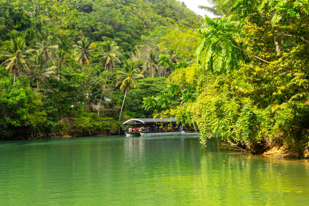 Bohol Loboc river cruise on Philippines. Palms, cloudy sky, hills. Background image with copy space for text