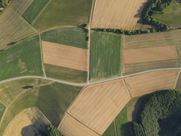istock View from above of agriculture land with crop fields 1651928896