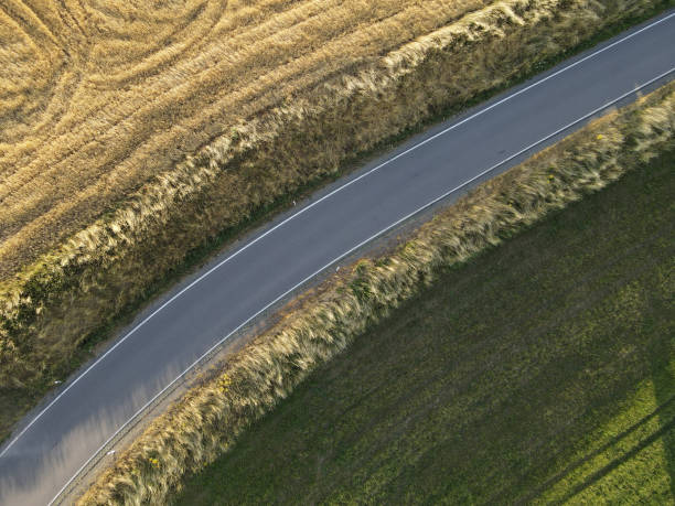 istock Curved road between crop fields from above in summer evening 1651931033