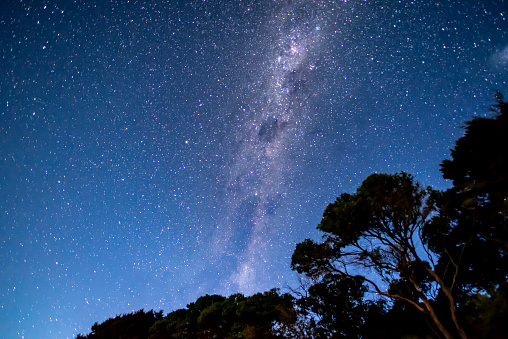 Milky Way and starry sky above the shape of trees in Abel Tasman National Park, New Zealand