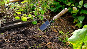 schaufeln-sie-den-kompostboden-im-garten.jpg?b=1&s=170x170&k=20&c=9UJESMDRIv2dwmca7rQytJOf8lzTfRaUqGnEAJ1I-ss=